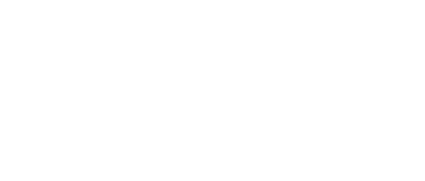 REDE MAX